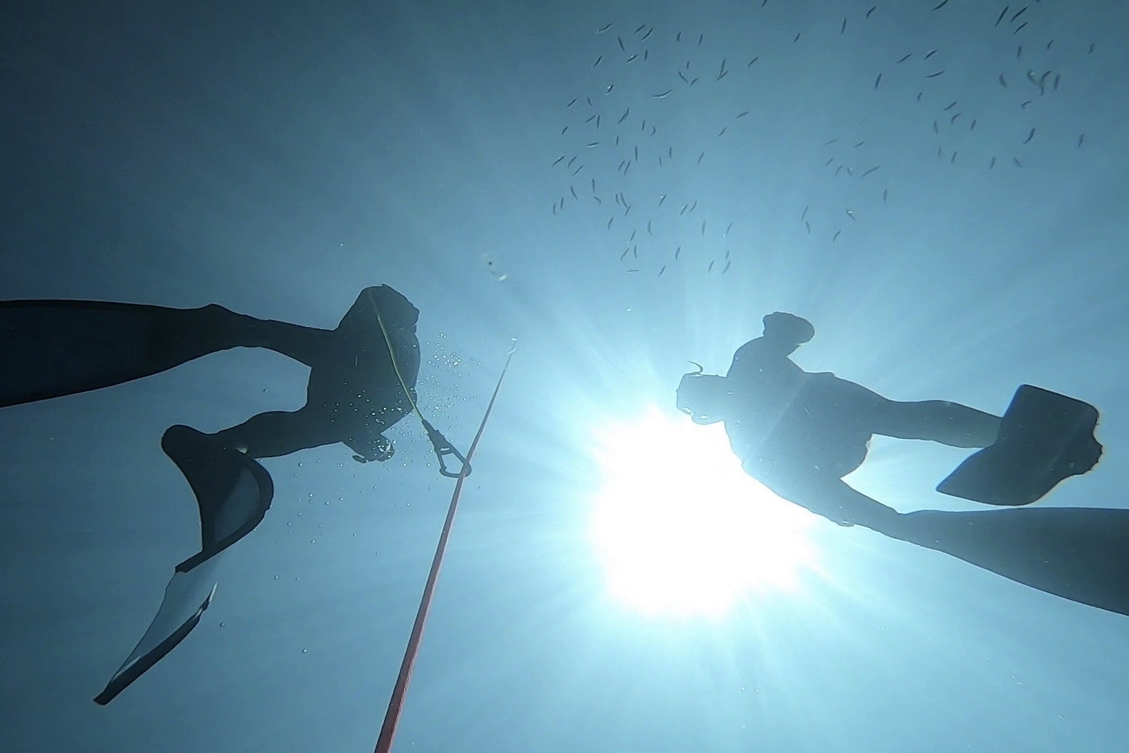 entrenamientos de apnea en Canarias