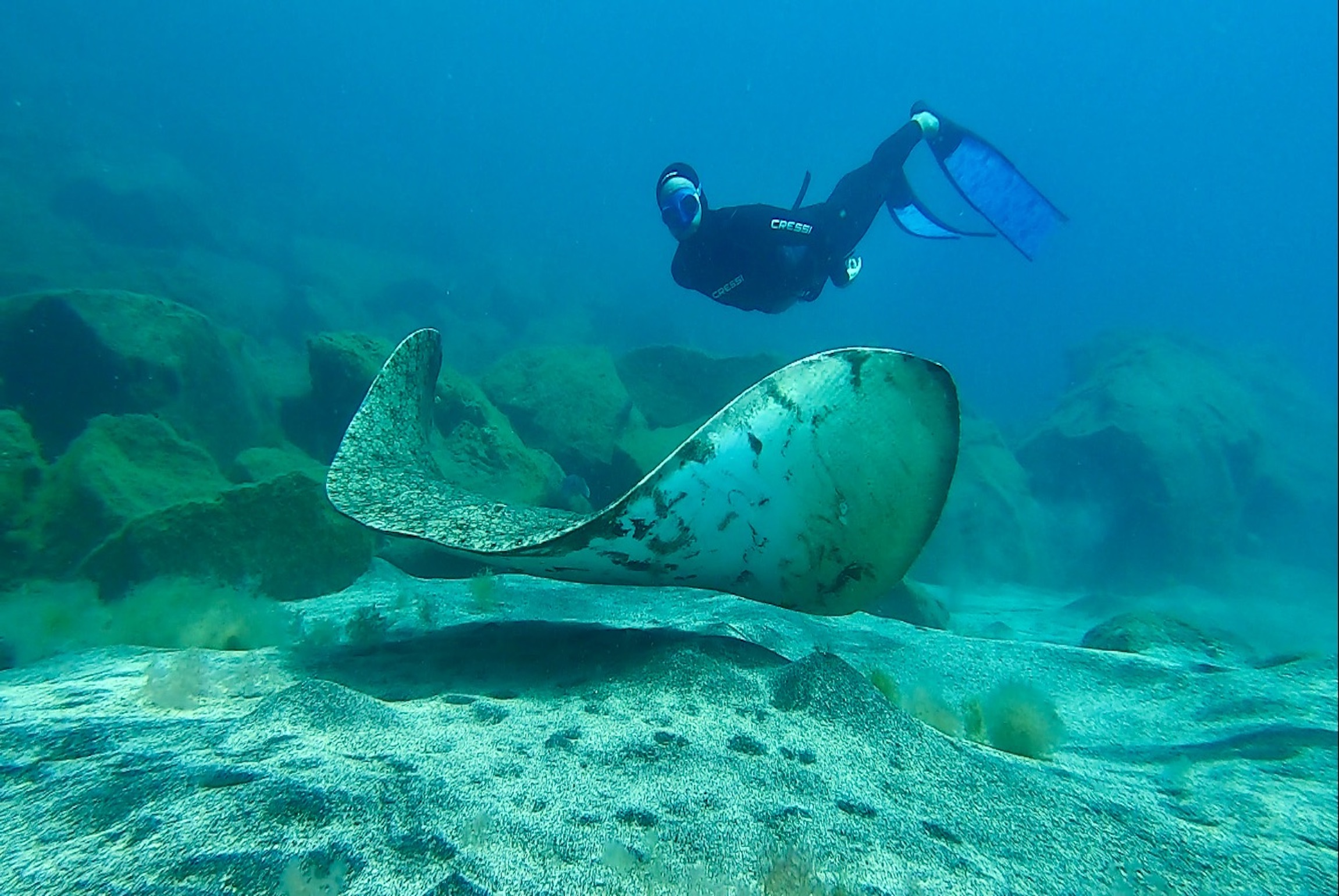 Snorkel tours in the Canary Islands