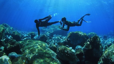 FREEDIVING & ADVENTURE IN EL HIERRO. 1501 IS BORN